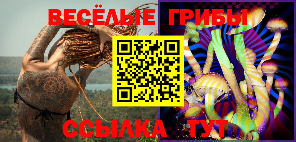 Галлюциногенные грибы GOLDEN TEACHER Кингисепп